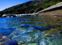  Nature Petit port de Haute Corse