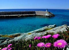  Nature Port de Centuri (Corse)