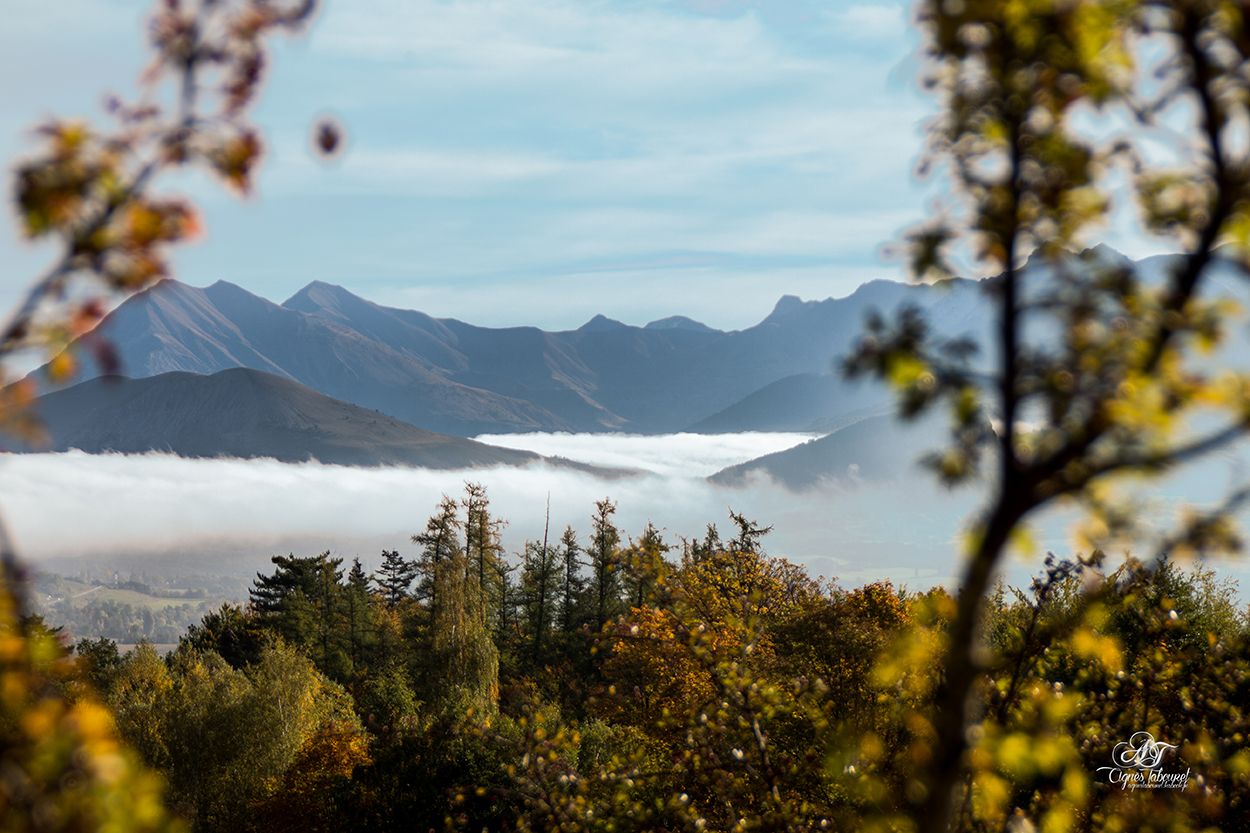 Wallpapers Nature Trees - Forests nuages sur ancelle