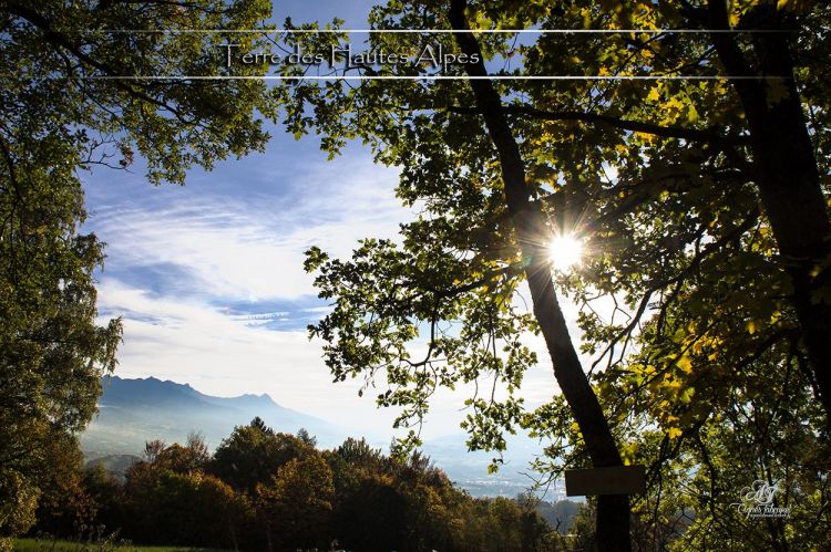 Fonds d'cran Nature Arbres - Forts chabrieres