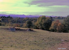  Nature paysage d'automne