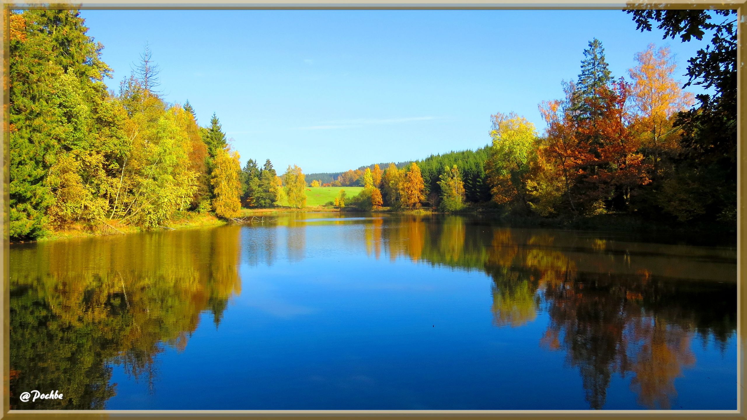 Fonds d'cran Nature Arbres - Forts 