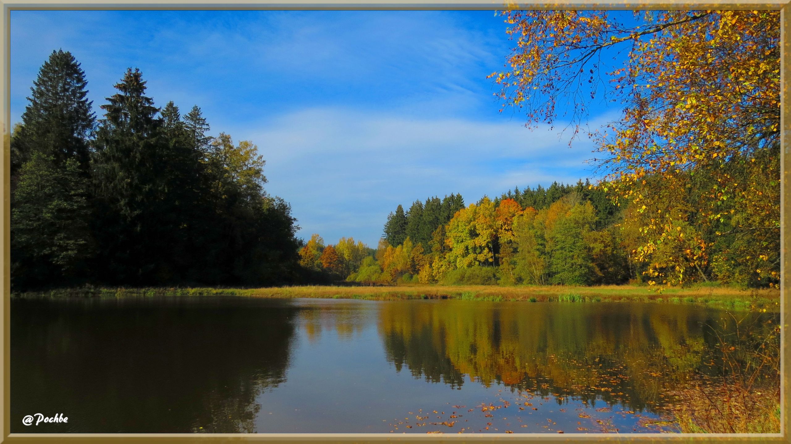 Wallpapers Nature Trees - Forests 