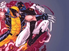  Comics Wolverine vs Nightcrawler