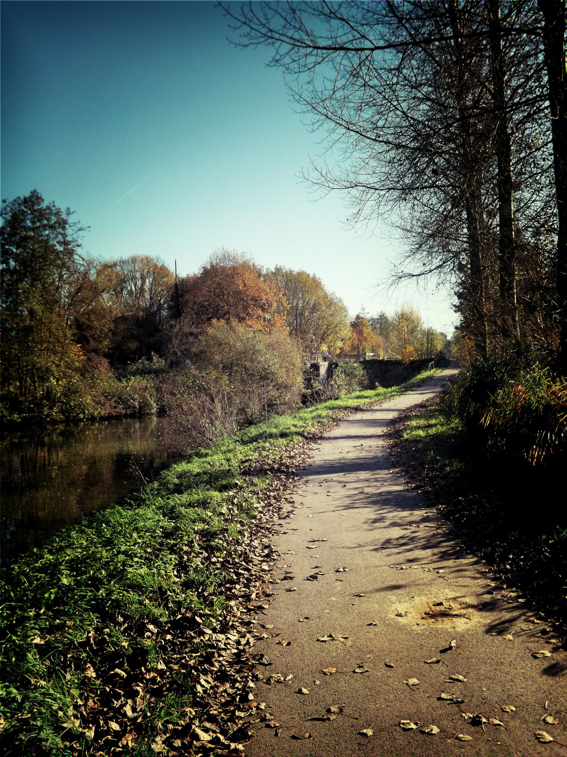 Fonds d'cran Nature Chemins 