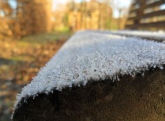  Nature Banc de Glace