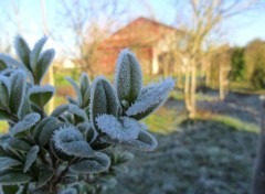  Nature Givre 