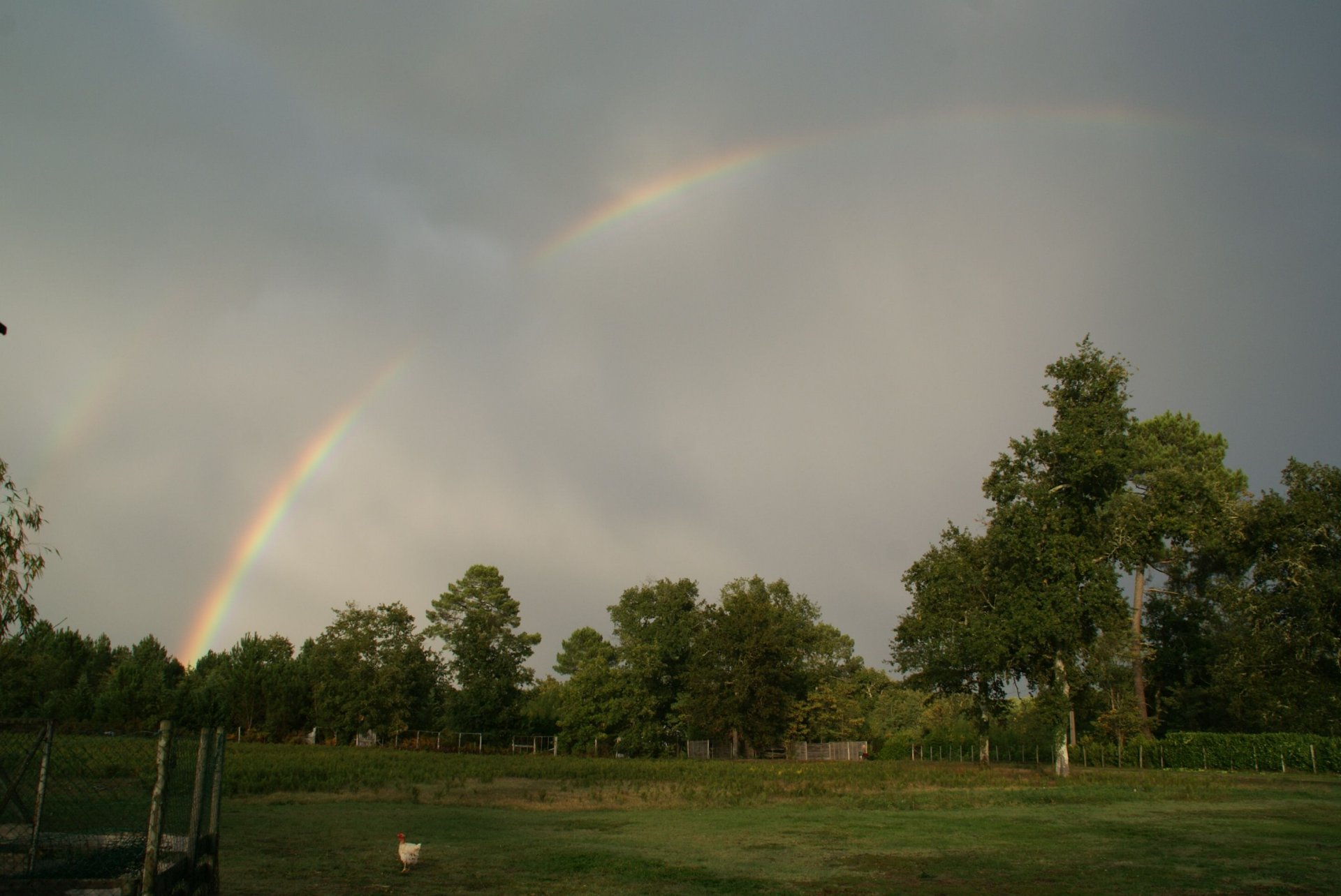 Wallpapers Nature Rainbows 