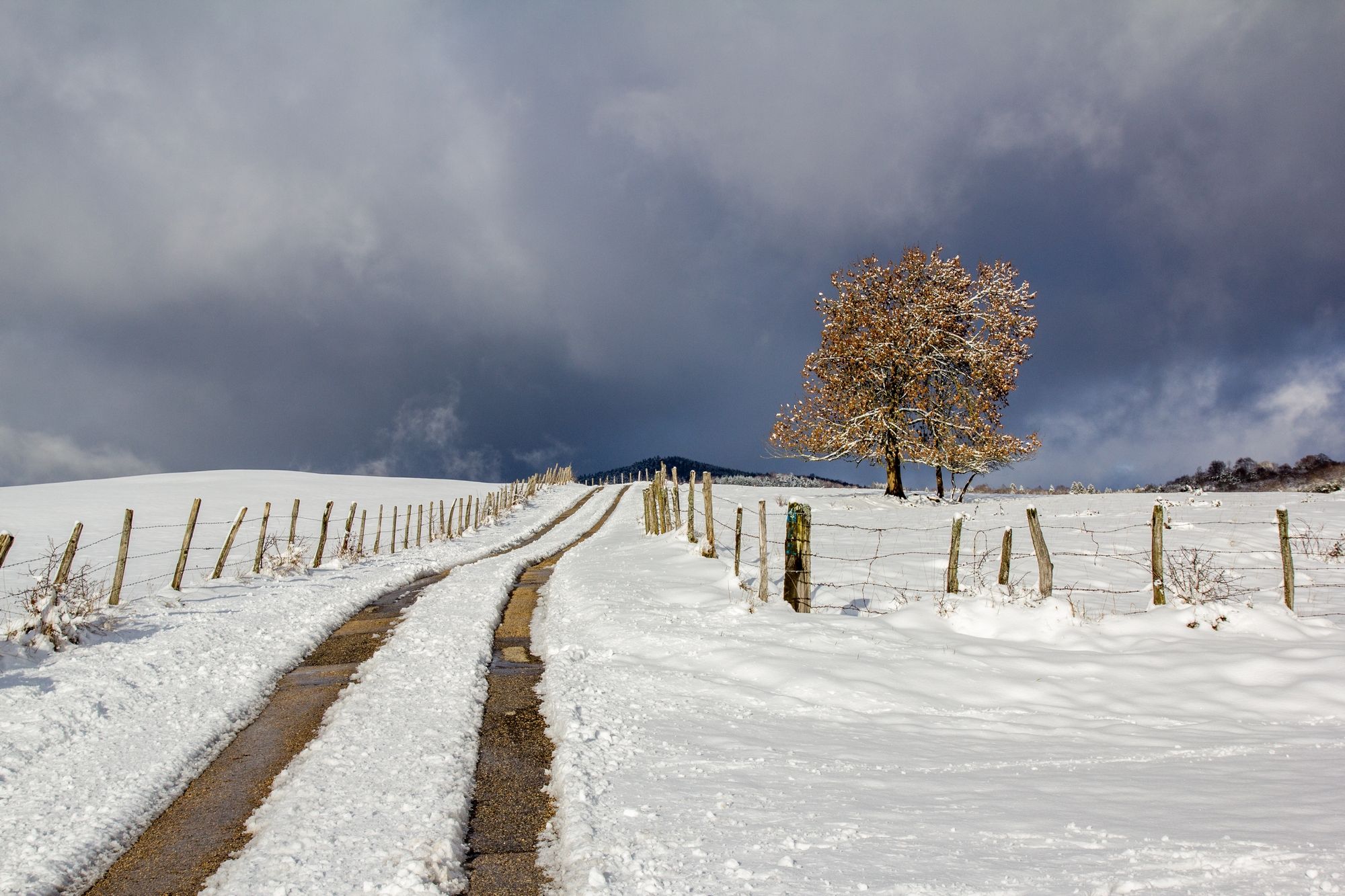 Fonds d'cran Nature Saisons - Hiver retour de la neige