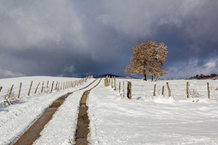 Wallpapers Nature Saisons - Winter retour de la neige