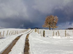  Nature retour de la neige