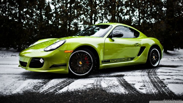 Wallpapers Cars Porsche Wallpaper N422107