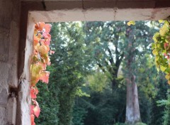  Nature entrée sur jardin automnale