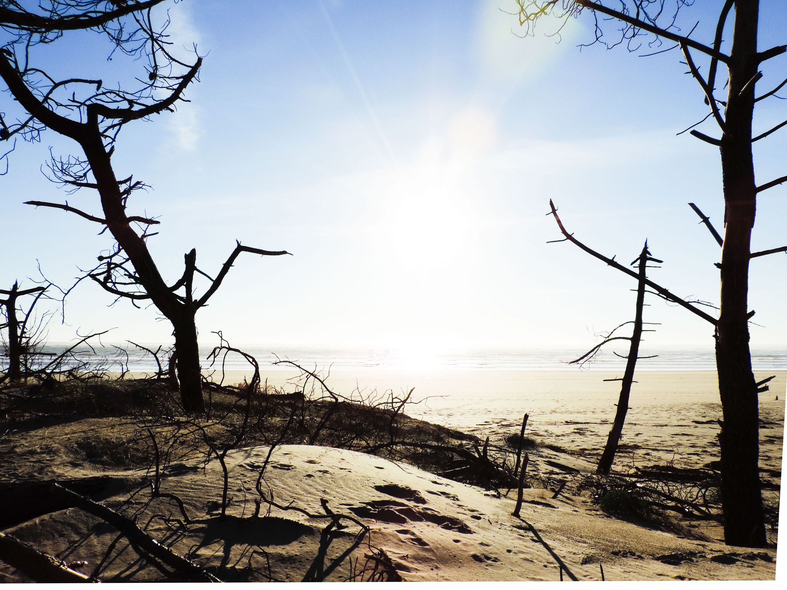 Fonds d'cran Nature Mers - Ocans - Plages Ile d'Olron