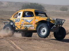  Voitures VOLKSWAGON baja_offroad