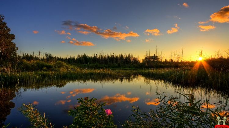 Fonds d'cran Nature Couchers et levers de Soleil Sunset