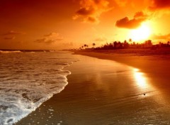  Nature amazing sunrise at the beach