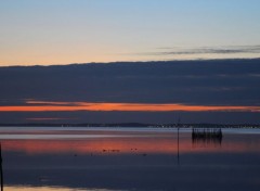  Nature Bassin d'Arcachon