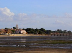  Nature Bassin d'Arcachon