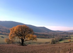  Nature balade d'automne