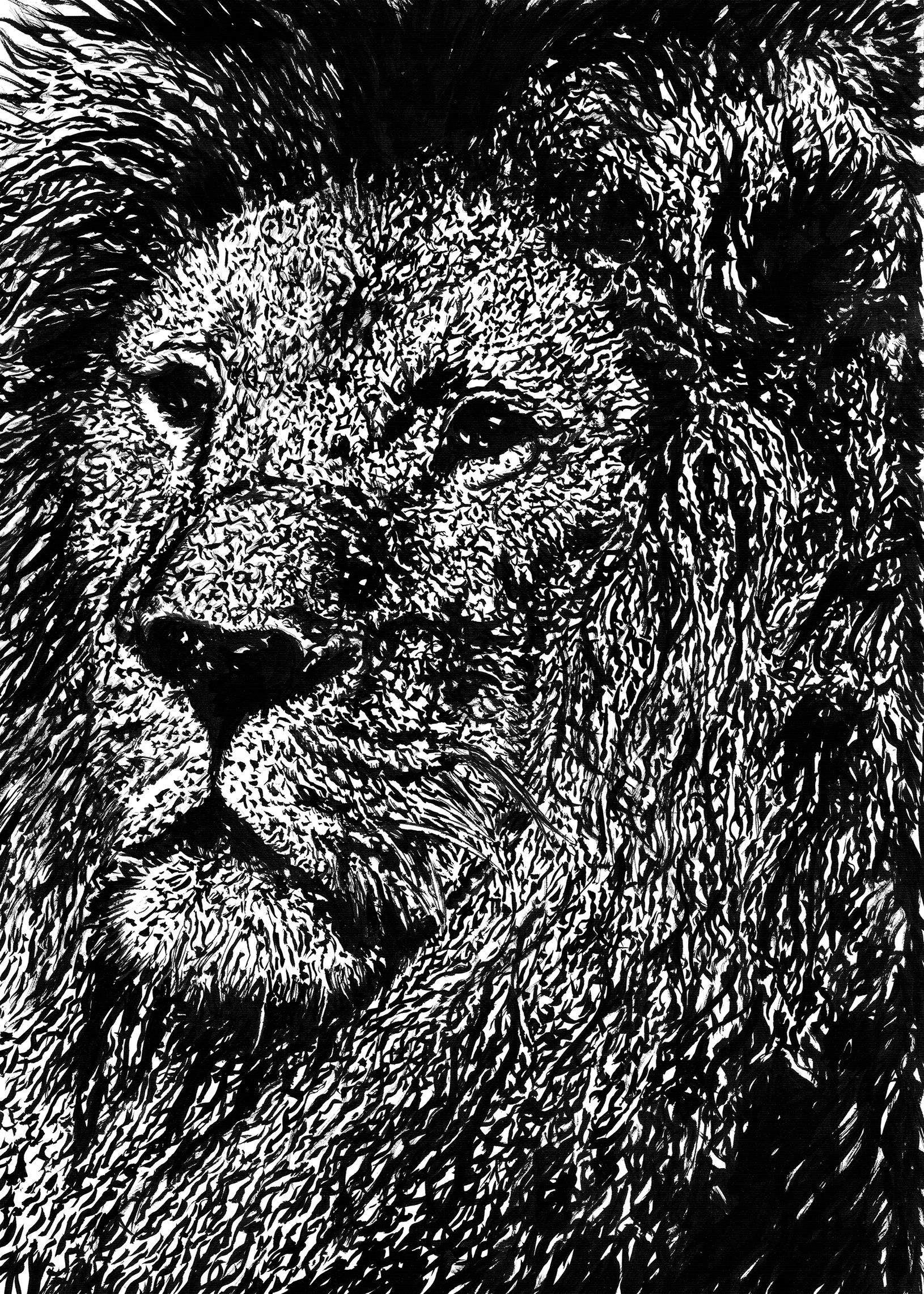 Wallpapers Art - Pencil Animals - Lions lion king