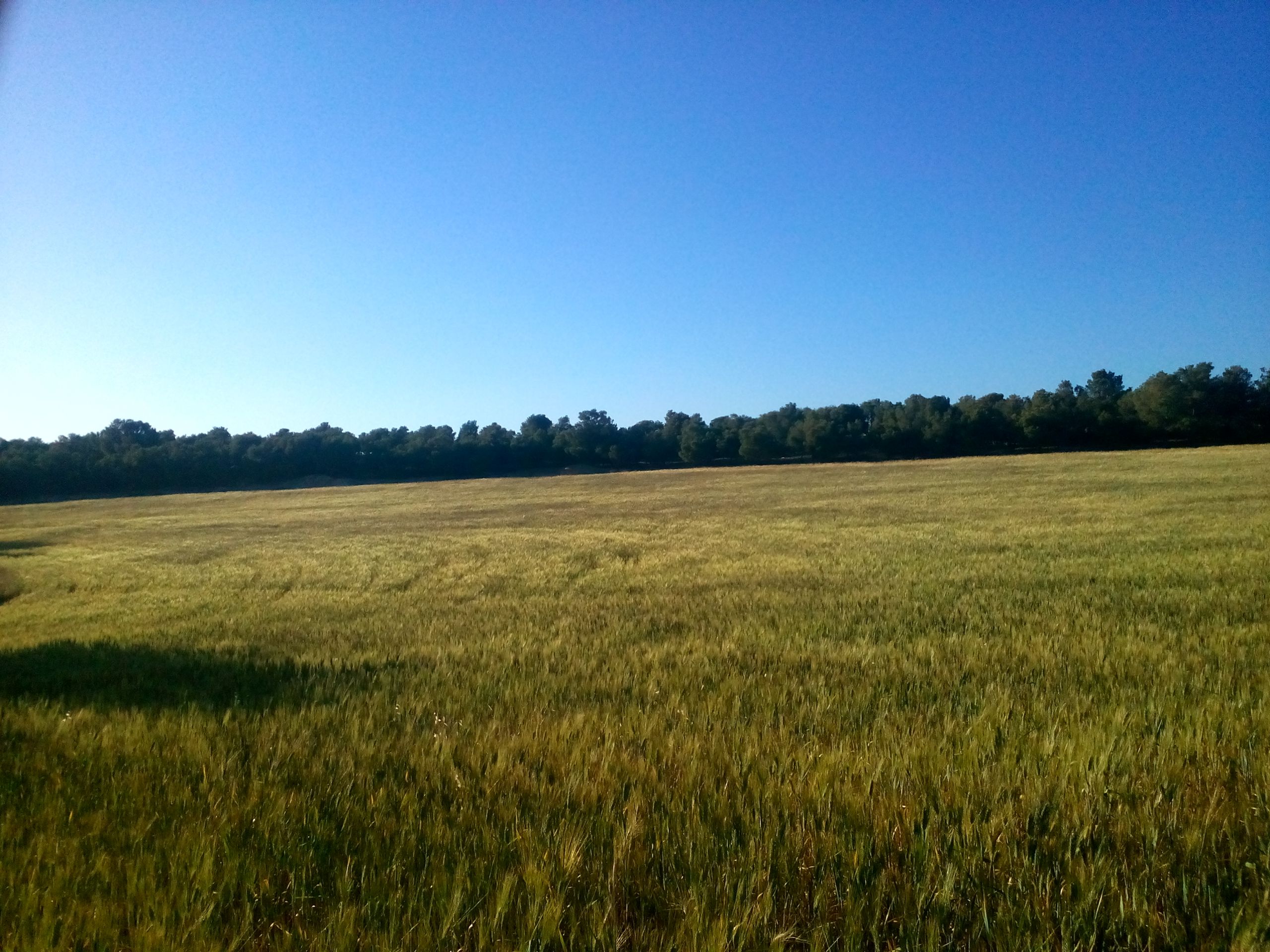 Fonds d'cran Nature Paysages 