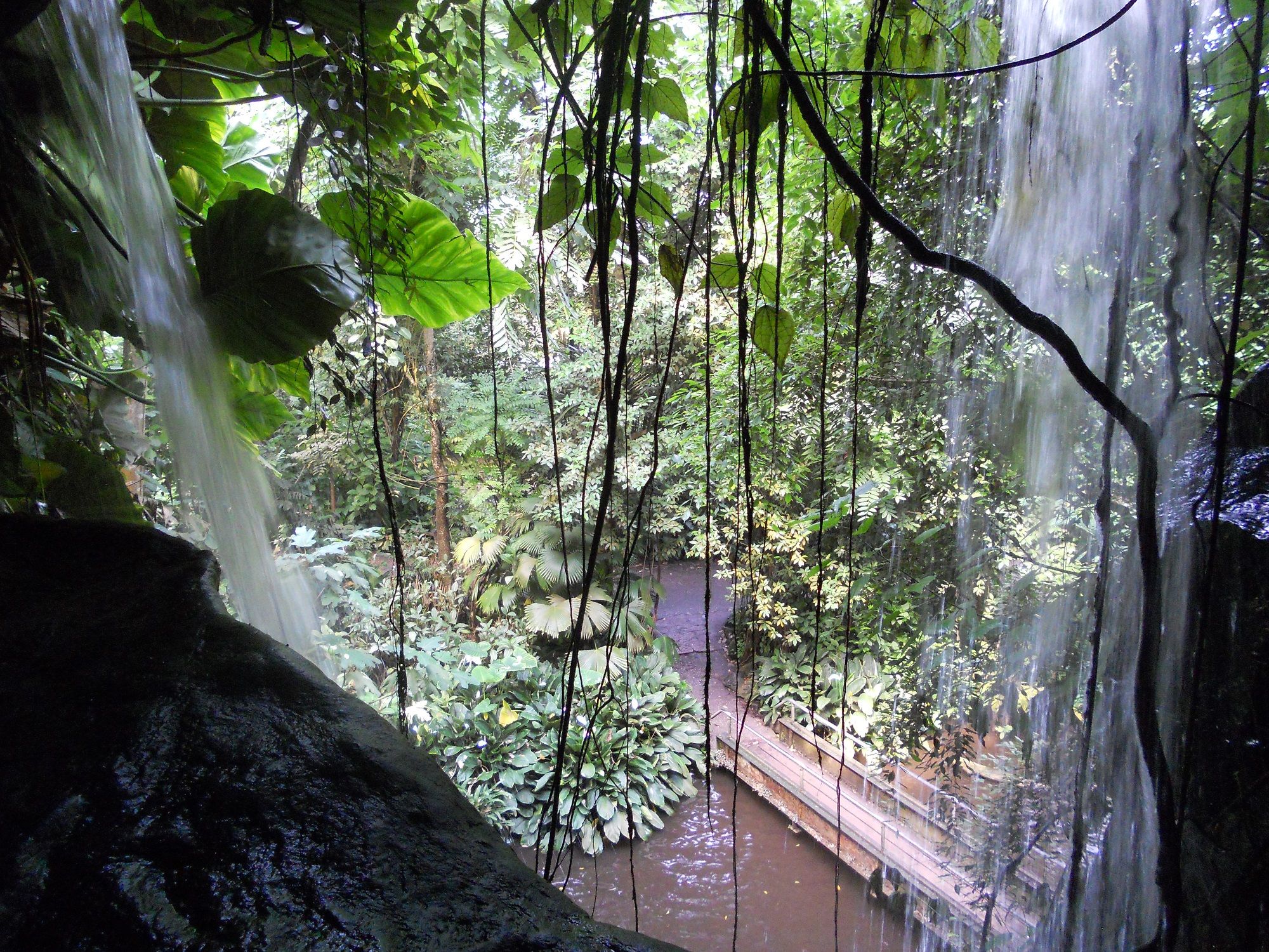 Fonds d'cran Nature Cascades - Chutes Zoo Emmen Holland