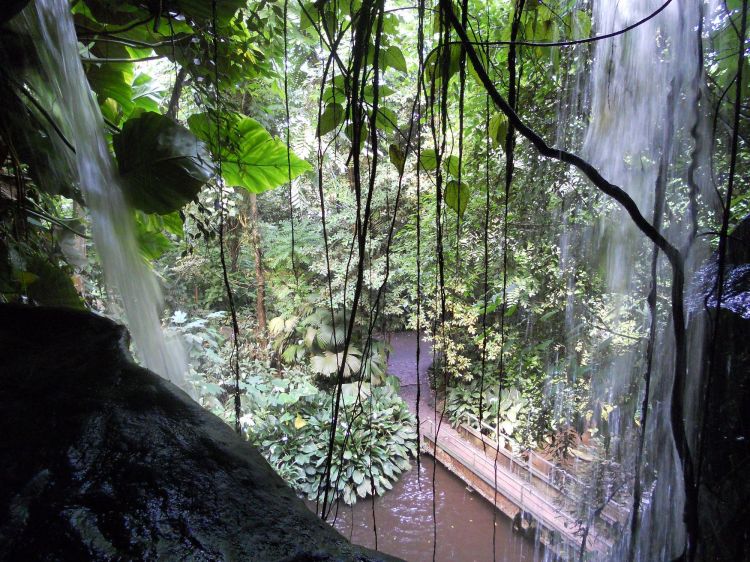 Wallpapers Nature Waterfalls Zoo Emmen Holland