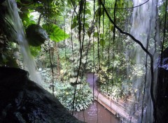  Nature Zoo Emmen Holland