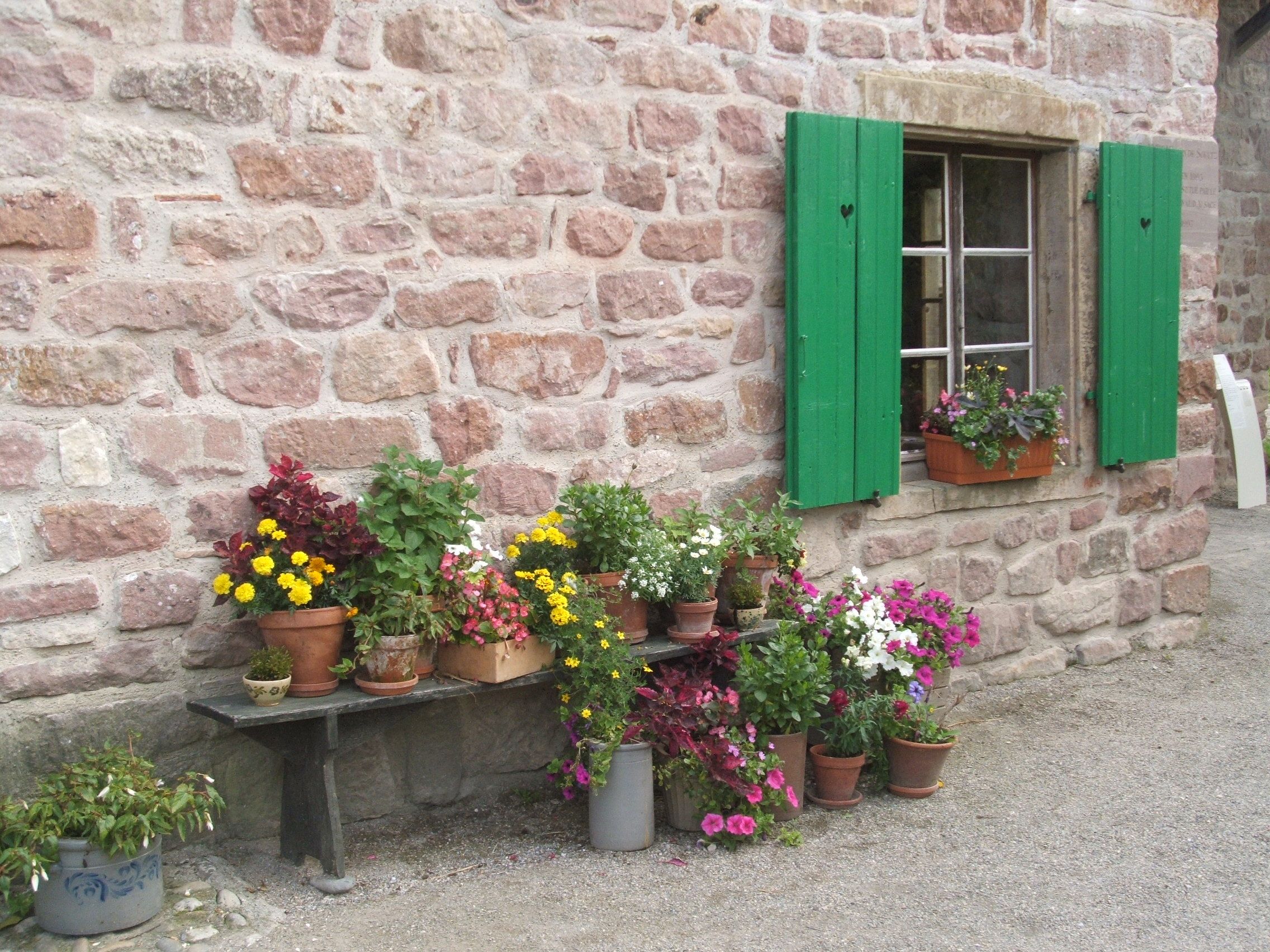 Fonds d'cran Nature Fleurs 