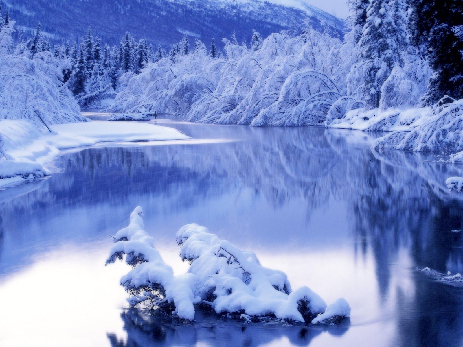 Fonds d'cran Nature Saisons - Hiver Blue-Winter-Season