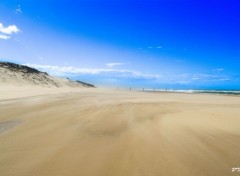  Nature Plage de Biscarrosse