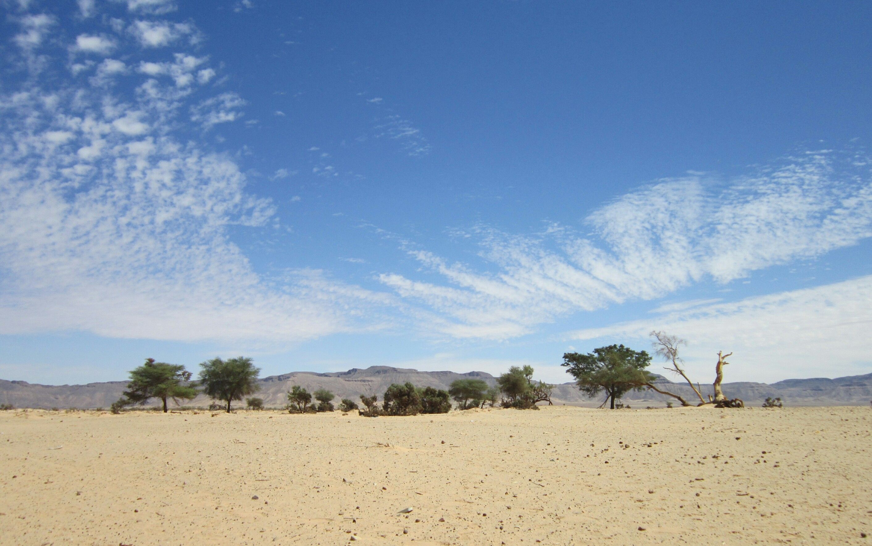 Fonds d'cran Nature Paysages 