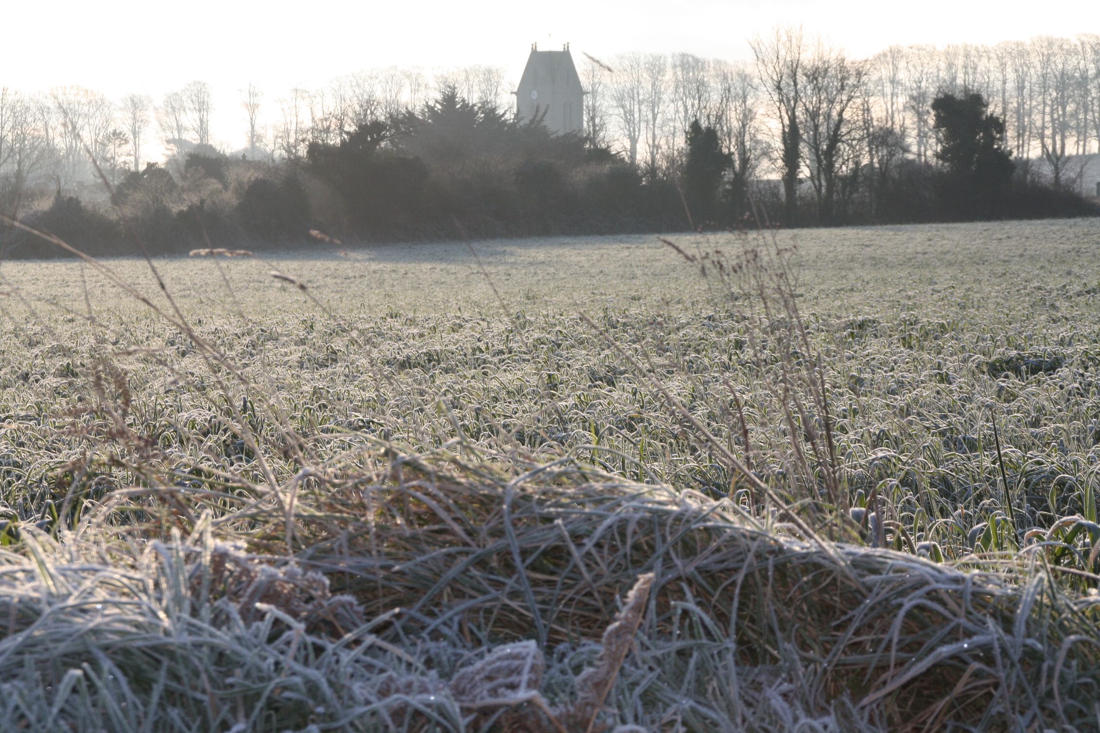 Fonds d'cran Nature Saisons - Hiver 