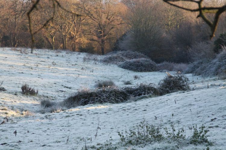 Fonds d'cran Nature Saisons - Hiver Gele matinale 