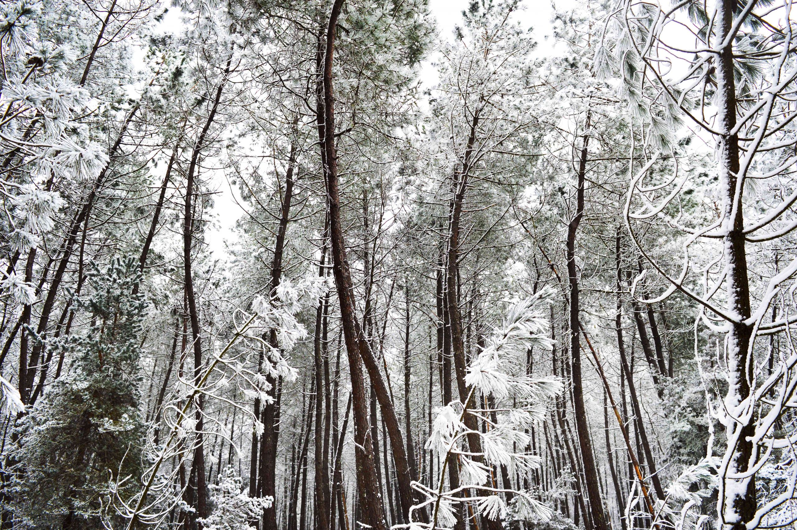 Wallpapers Nature Saisons - Winter Fort