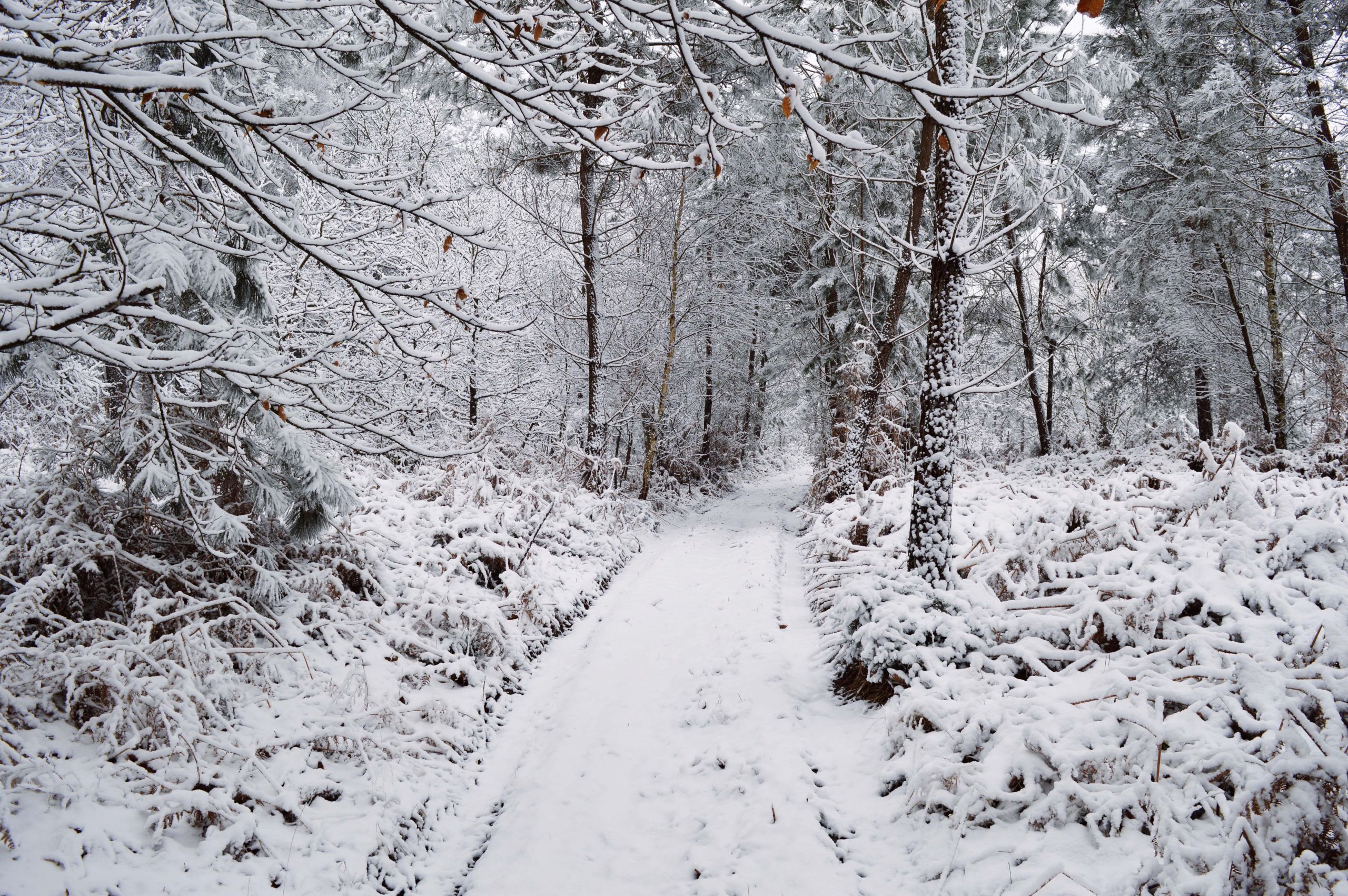 Wallpapers Nature Saisons - Winter fort de Berc