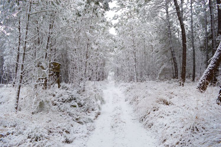 Fonds d'cran Nature Saisons - Hiver fort de Berc