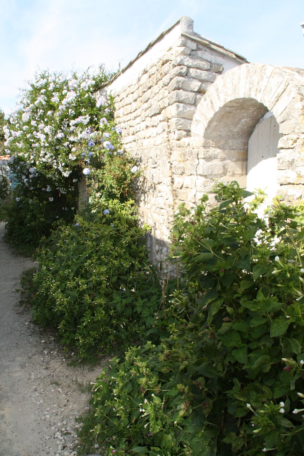 Fonds d'cran Constructions et architecture Portes - Fentres - Porches 