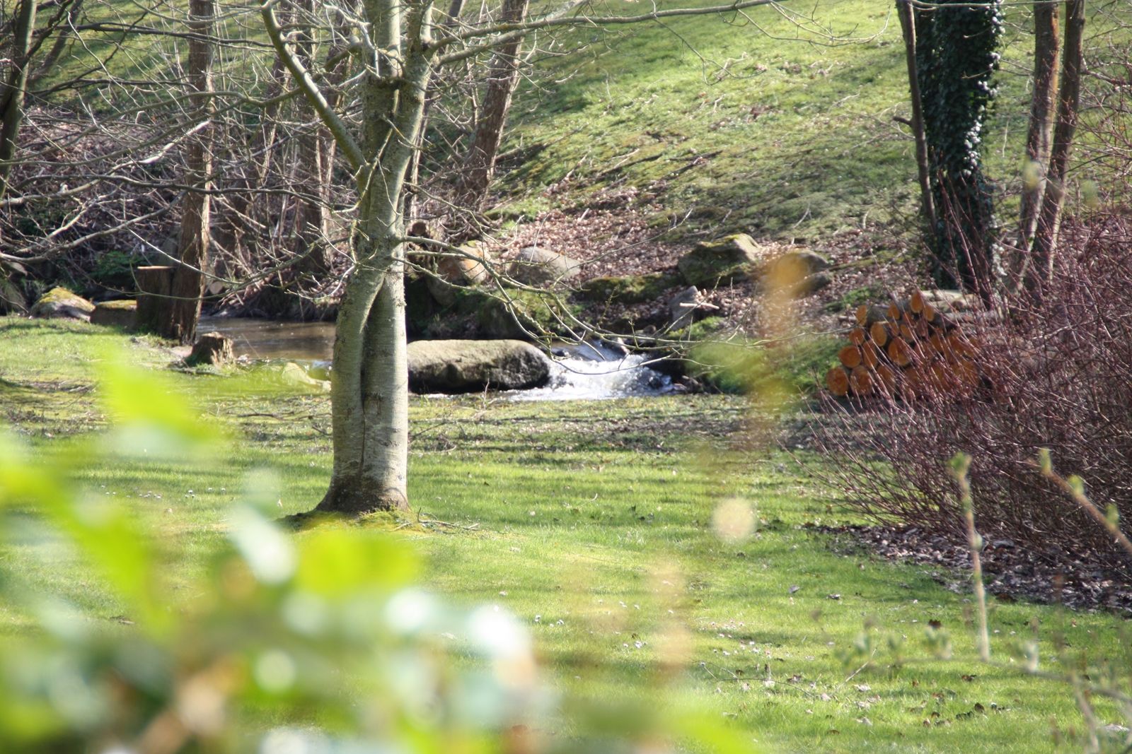 Fonds d'cran Nature Campagne 