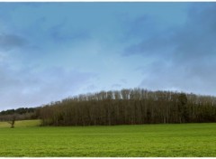  Nature Paysage de l'Auxois