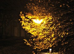  Objects Lampadaire et feuilles