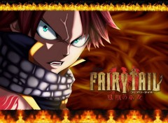  Manga Natsu / Fairy Tail