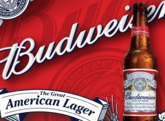  Brands - Advertising budweiser