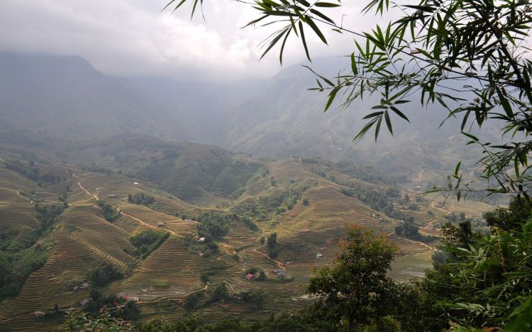 Fonds d'cran Nature Paysages Hauts plateaux du Vietnam