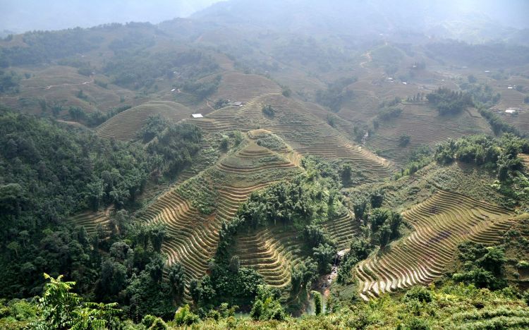 Fonds d'cran Nature Paysages Hauts plateaux du Vietnam