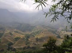  Nature Hauts plateaux du Vietnam