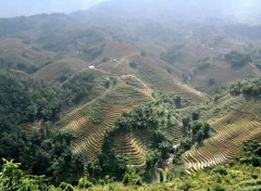  Nature Hauts plateaux du Vietnam