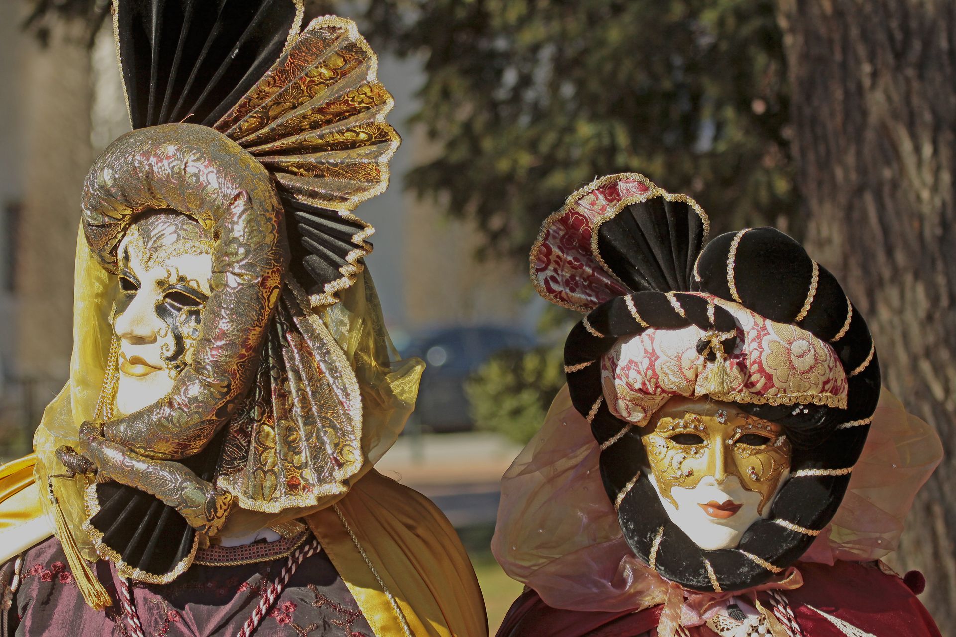 Fonds d'cran Hommes - Evnements Carnavals - Costumes 