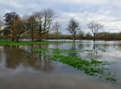  Nature campagne inondée